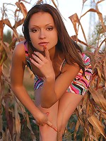 Zemani.com Allana - Cute Allana takes off her bright dress and shows her perfect body and unshaved pussy on the autumn field.