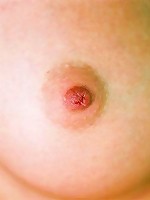 Alexa Model gives us a sweet peek