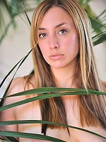 Francis does a mean tease