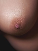 Errotica Archives - Avia