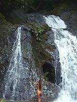 Errotica Archives - Nessa