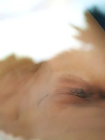 Errotica Archives - Antea