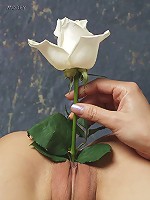 Morey Erotic Art - TigerLily C4