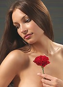 Elvira Red Carnation