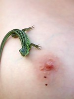 Two young blondes posing naked and kissing outdoors