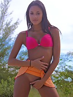 An outdoor shoot featuring Danica's tanned and oiled body.