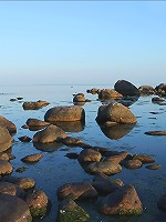 Renata | Stepping Stones