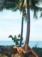 Sveta | Graceful indigene